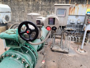 15wqg39splkzd82m158ulq7h5_0