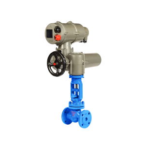 Globe Valve