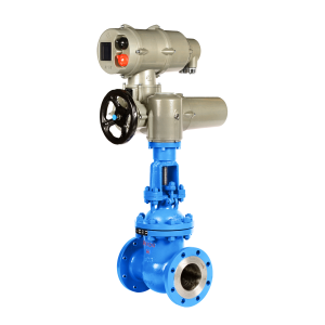 Gate Valve